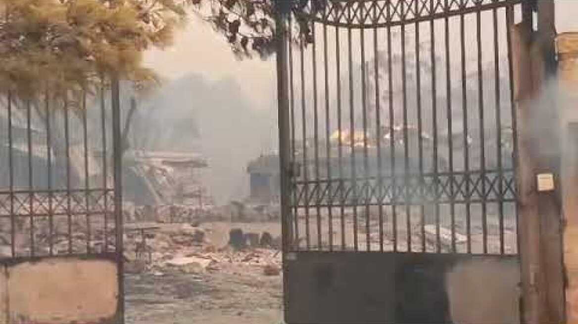 Φωτιά στην περιοχή της Φυλής (3)