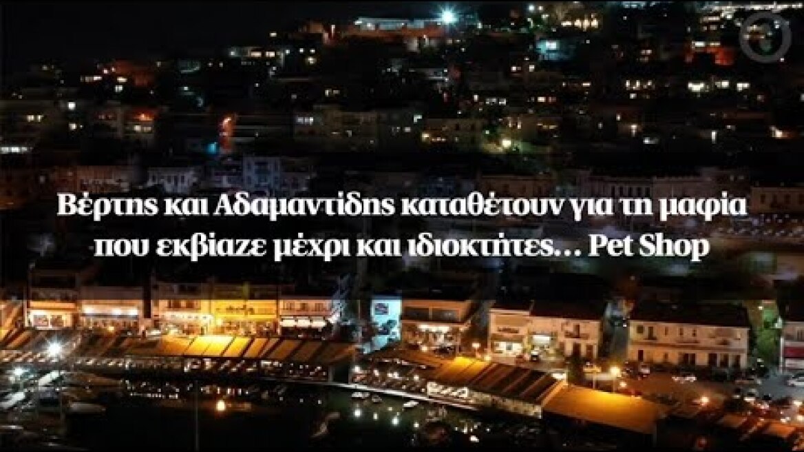 Βέρτης και Αδαμαντίδης καταθέτουν για τη μαφία που εκβίαζε μέχρι και ιδιοκτήτες… Pet Shop