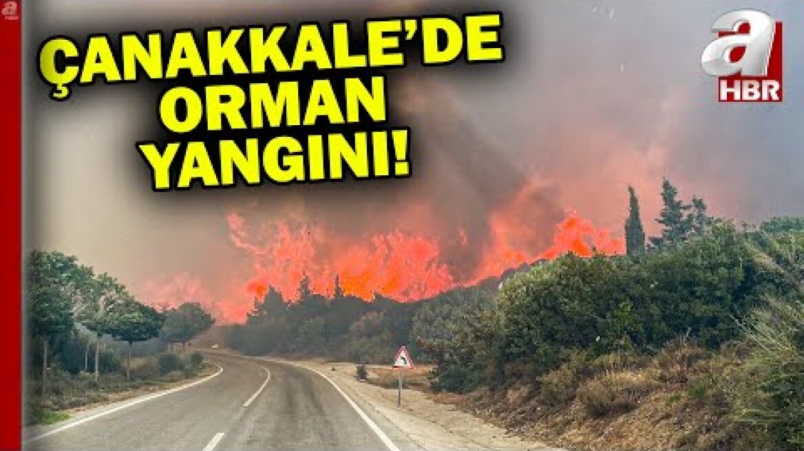 Çanakkale'de orman yangını! Alevler şehitliğe yaklaştı... | A Haber