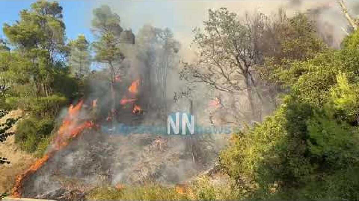 Φωτιά τρικορφο