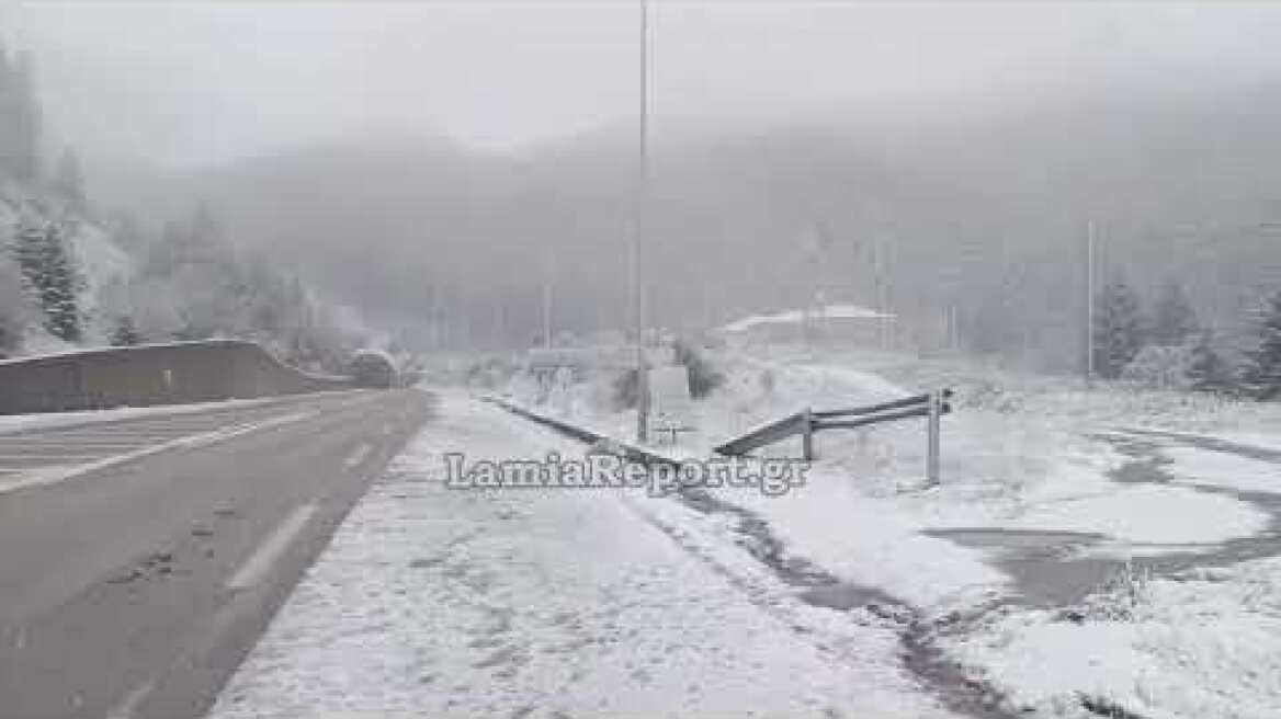 LamiaReport.gr: Το στρώσε στην ε. Ο. Λαμίας Καρπενησίου