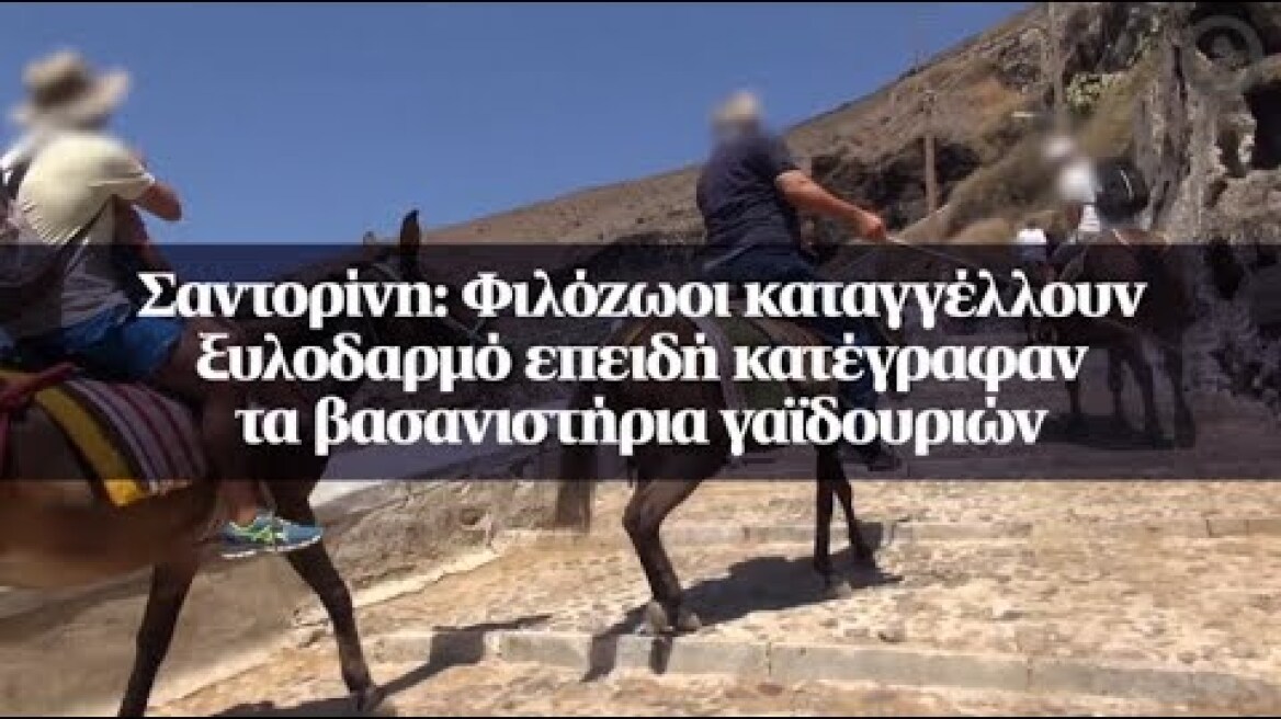 Σαντορίνη: Φιλόζωοι καταγγέλλουν ξυλοδαρμό επειδή κατέγραφαν τα βασανιστήρια γαϊδουριών