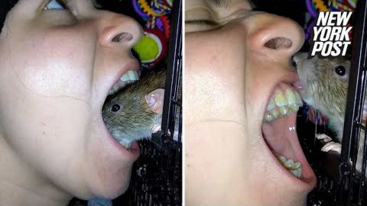 Weirdo lets rat lick her teeth clean