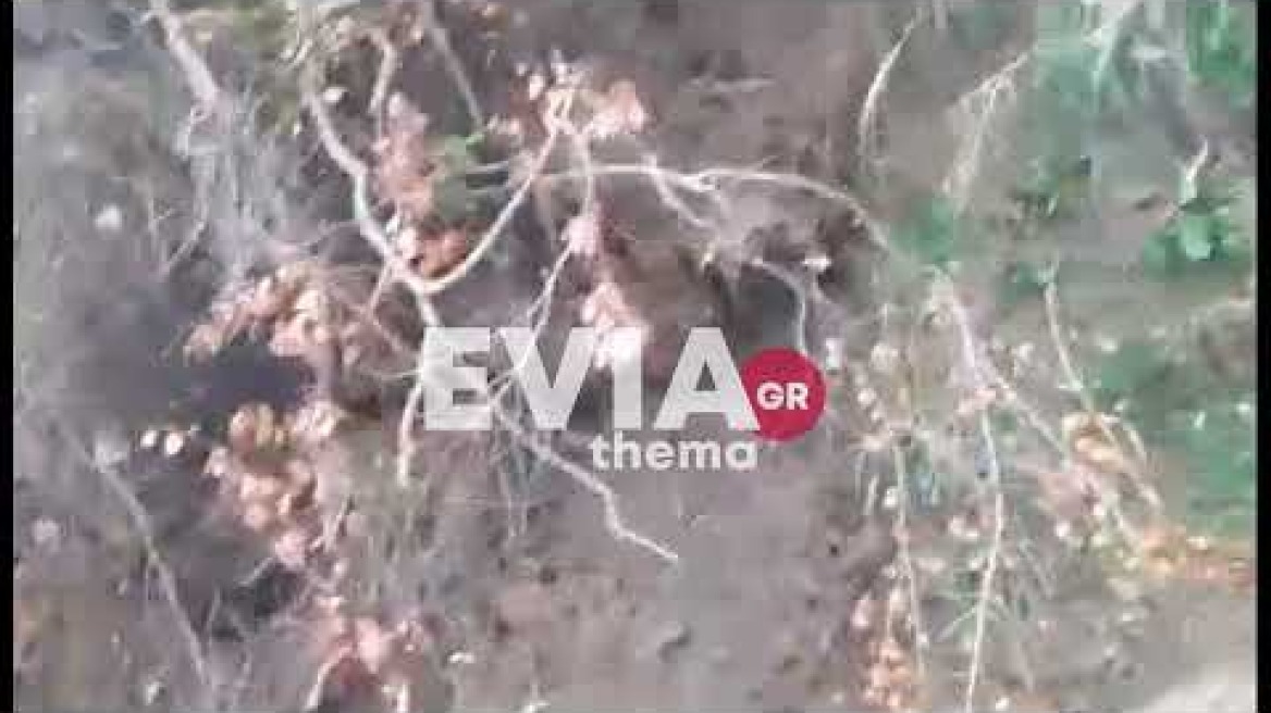 Eviathema.gr - Κατολίσθηση στην Βόρεια Εύβοια