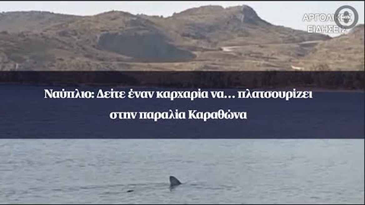 Ναύπλιο: Δείτε έναν καρχαρία να …πλατσουρίζει στην παραλία Καραθώνα