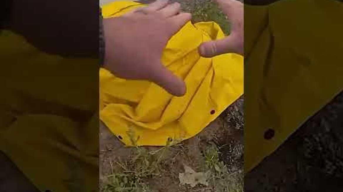 Deputy Wrangles 4-foot Alligator With Pipe, Rain Jacket in Avon Park