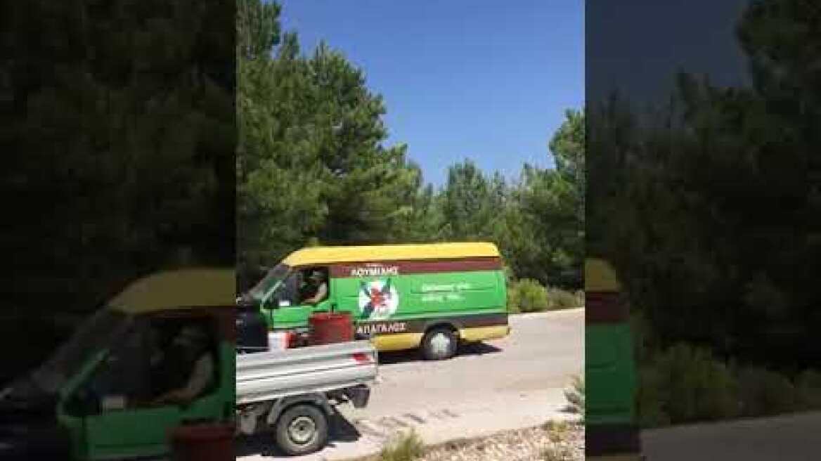 Οι κάτοικοι στη Μαλώνα συντονίζονται μόνοι τους χωρίς πυροσβεστικά για να σβήσουν τη φωτιά