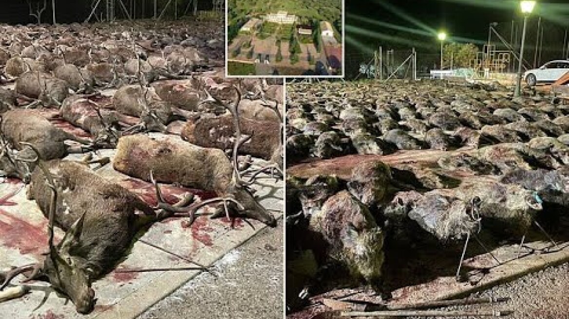 Κτηνωδία στην Ανδαλουσία