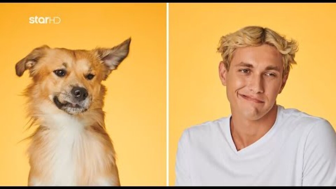 GNTM 3 | Τετράποδοι φίλοι σετάρονται με τα χαρακτηριστικά τους & φωτογραφίζονται με τους υποψήφιους!