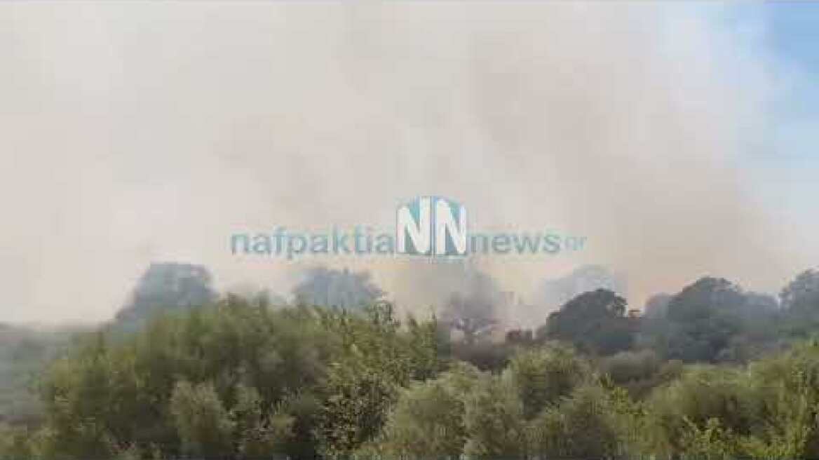 Μεγάλη πυρκαγιά στην Κατοχή στο αρχαίο Θέατρο Οινιαδών.