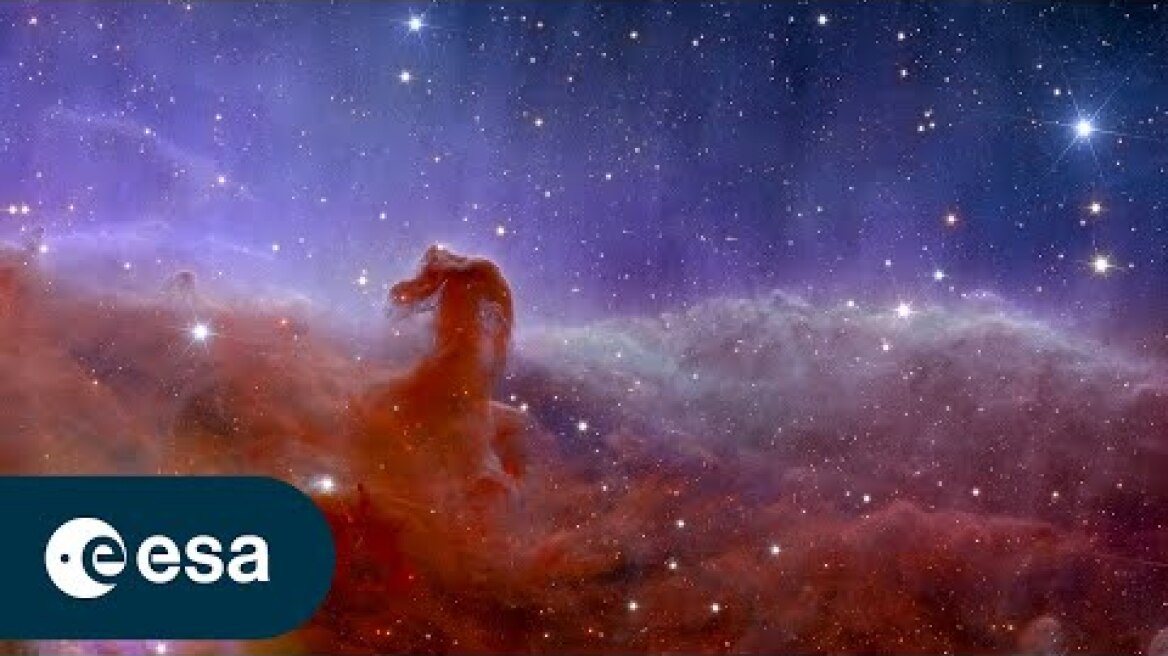 Euclid's first views of the cosmos