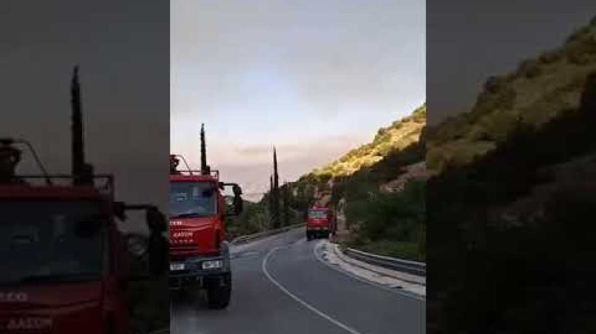 Φωτιά ορεινή Πάφος: Πρώτα πλάνα από το ξημέρωμα των επιχειρήσεων