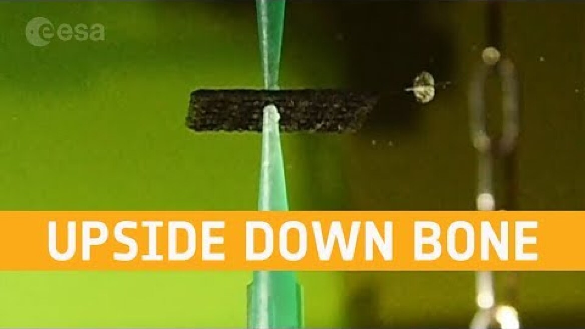 3D printing bone upside down