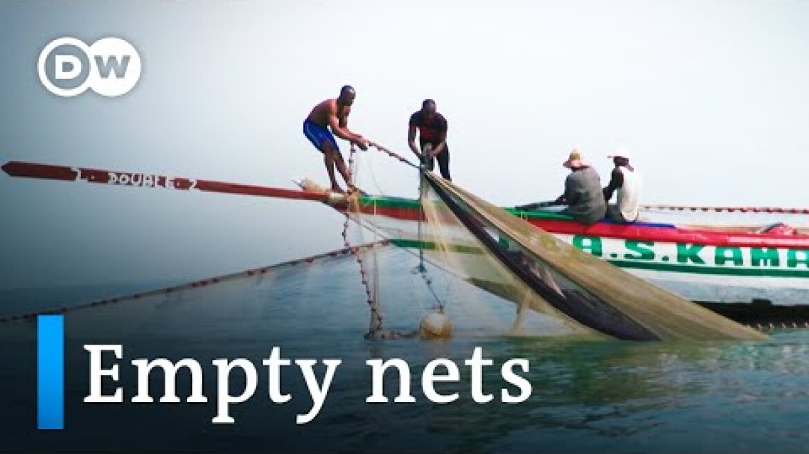 Chinese fishing threatens the livelihoods of Sierra Leone’s fishermen | DW Documentary