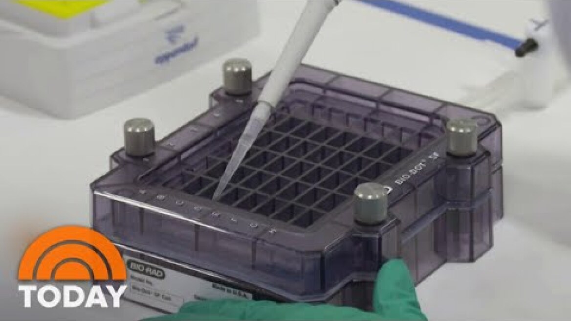 How Soon Could The FDA Approve A COVID-19 Vaccine? | TODAY