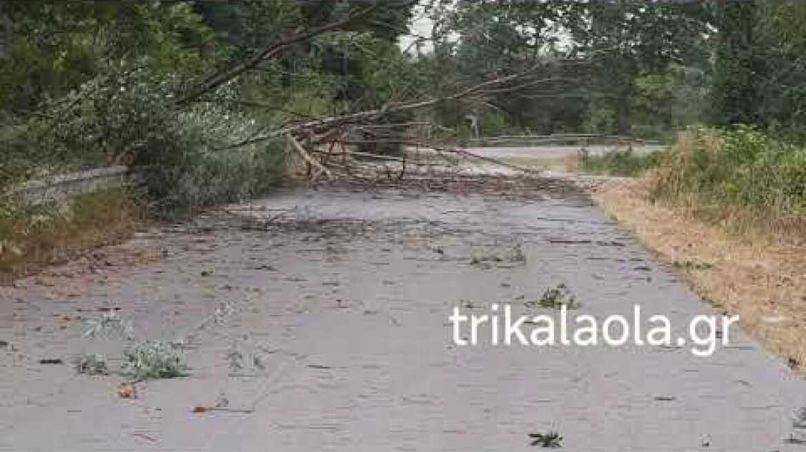 Τρίκαλα πολύ ισχυροί άνεμοι έρχεται μπουρίνι έσπασαν δέντρα έκλεισε δρόμος Βαλομανδρι  20-6-2025