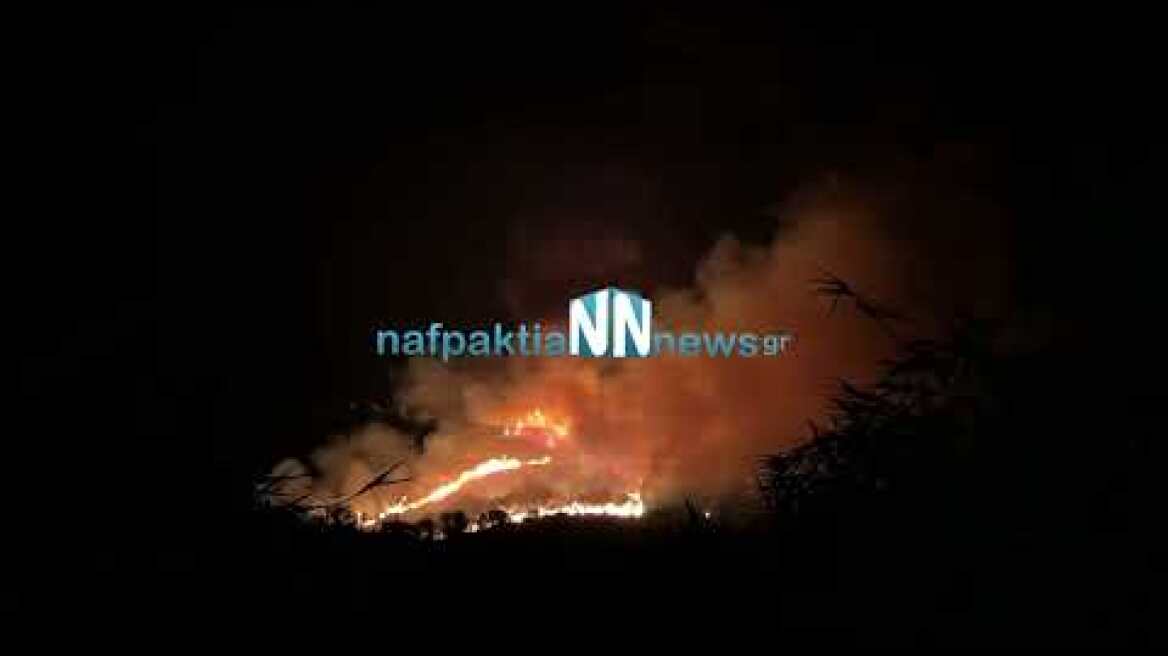 Πυρκαγιά στην Μακύνεια 