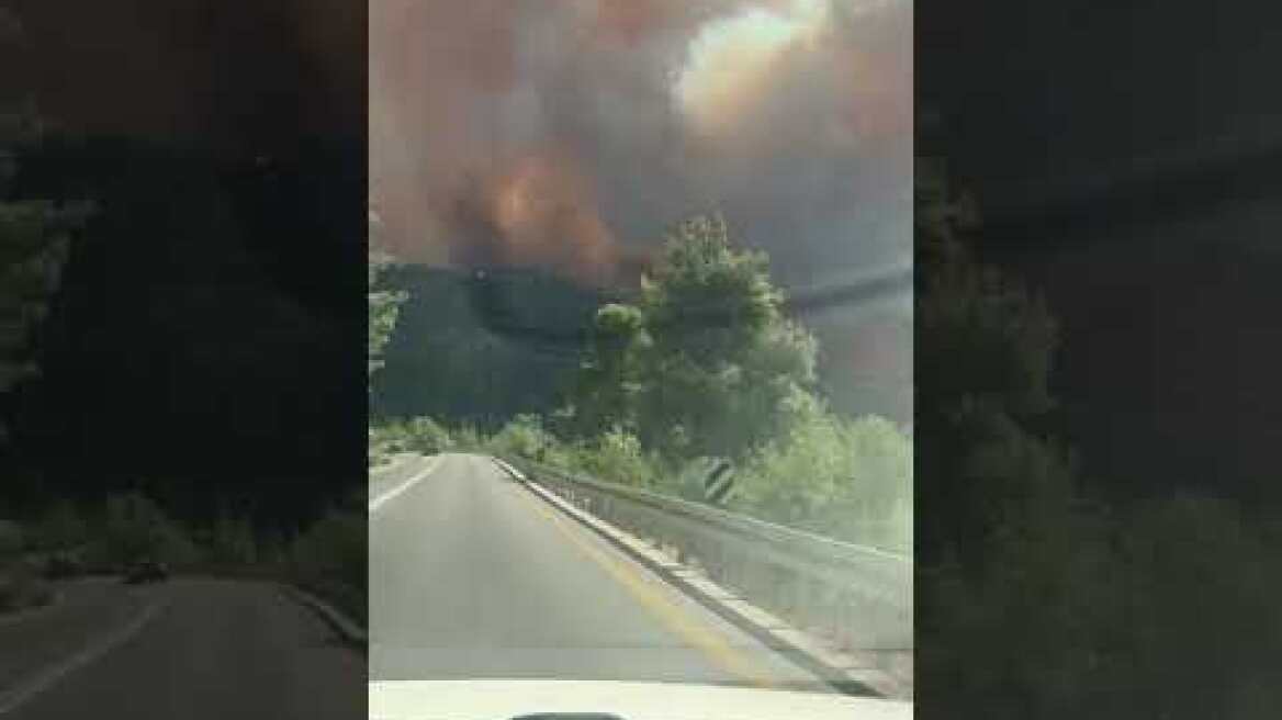 השריפה בהרי ירושלים (צילום: חני יעקב)