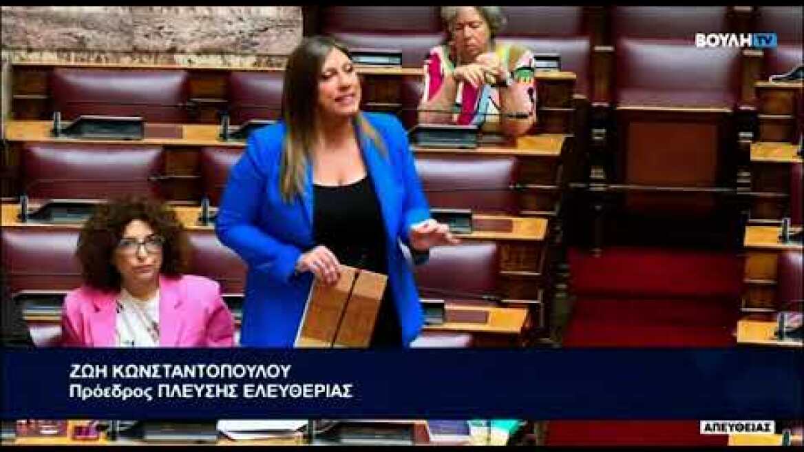 Tension in the House between Constantopoulou - Georganda