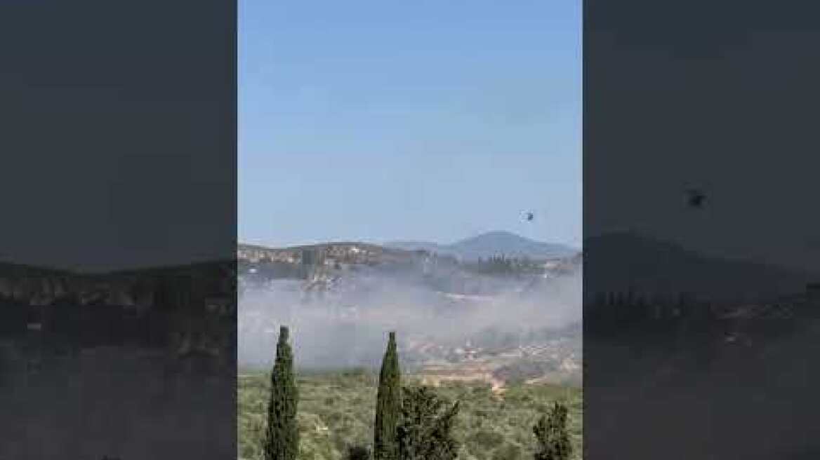 Φωτιά στη Μεσσηνία