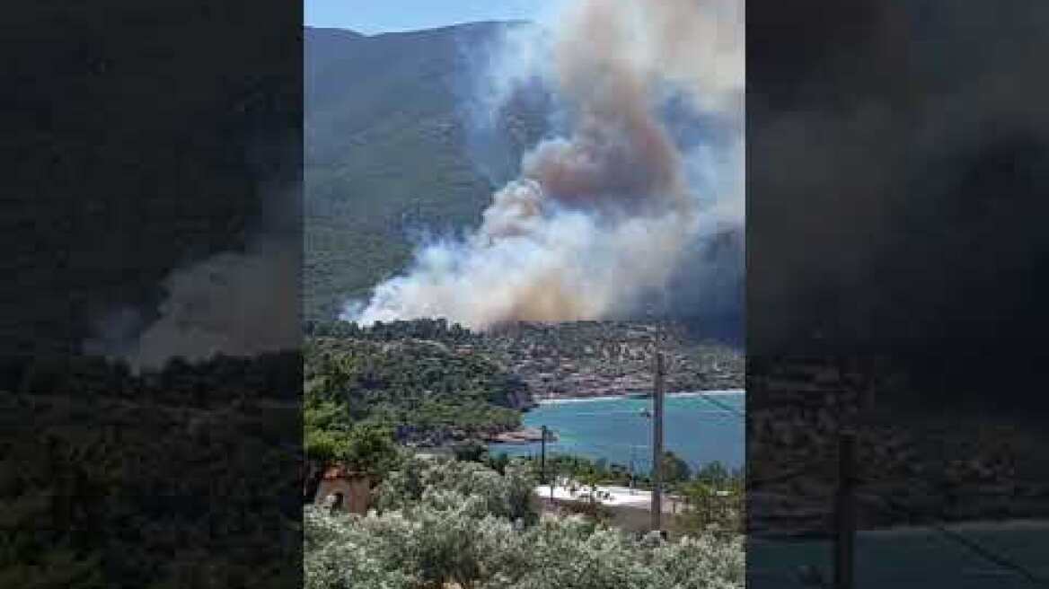 Φωτιά Πόρτο Γερμενό