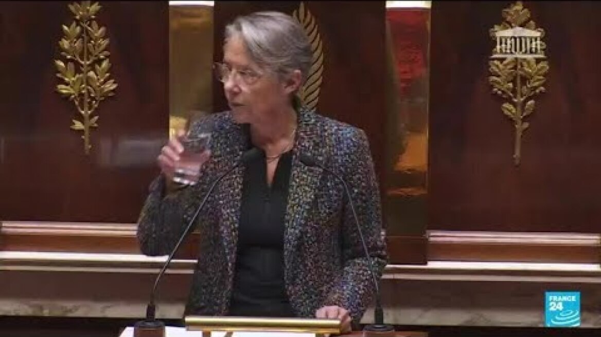 French government faces no-confidence votes over pension reform bill • FRANCE 24 English