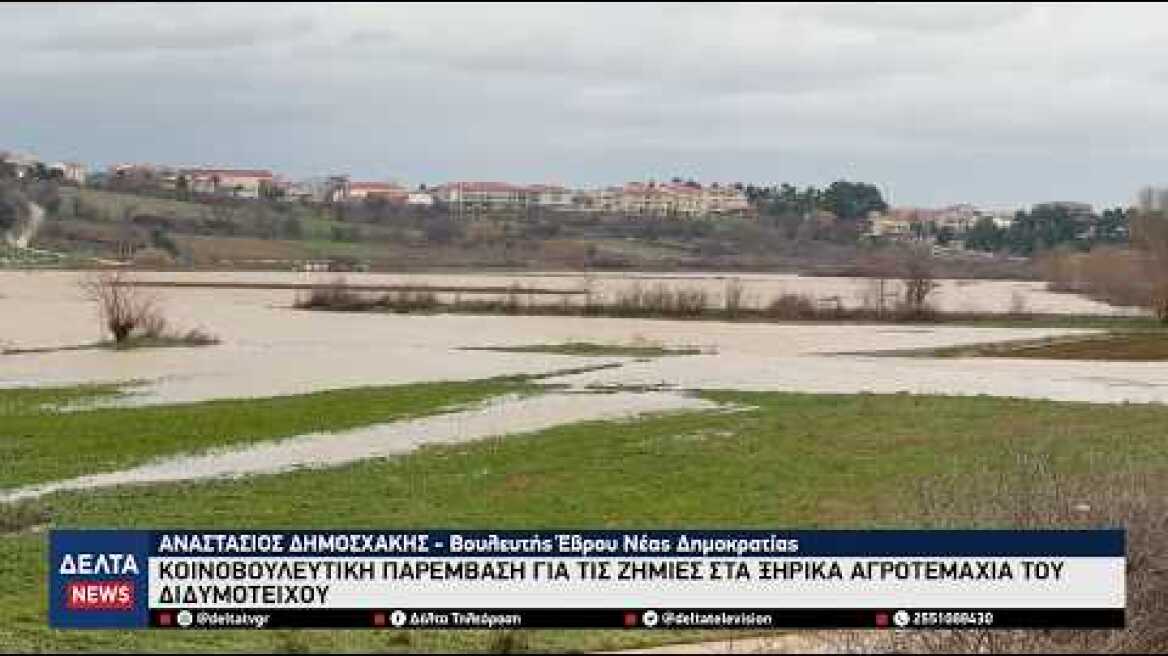 Πλημμύρες στον Έβρο: Στη Βουλή οι ζημιές στα ξερικά αγροτεμάχια – Παρέμβαση Δημοσχάκη