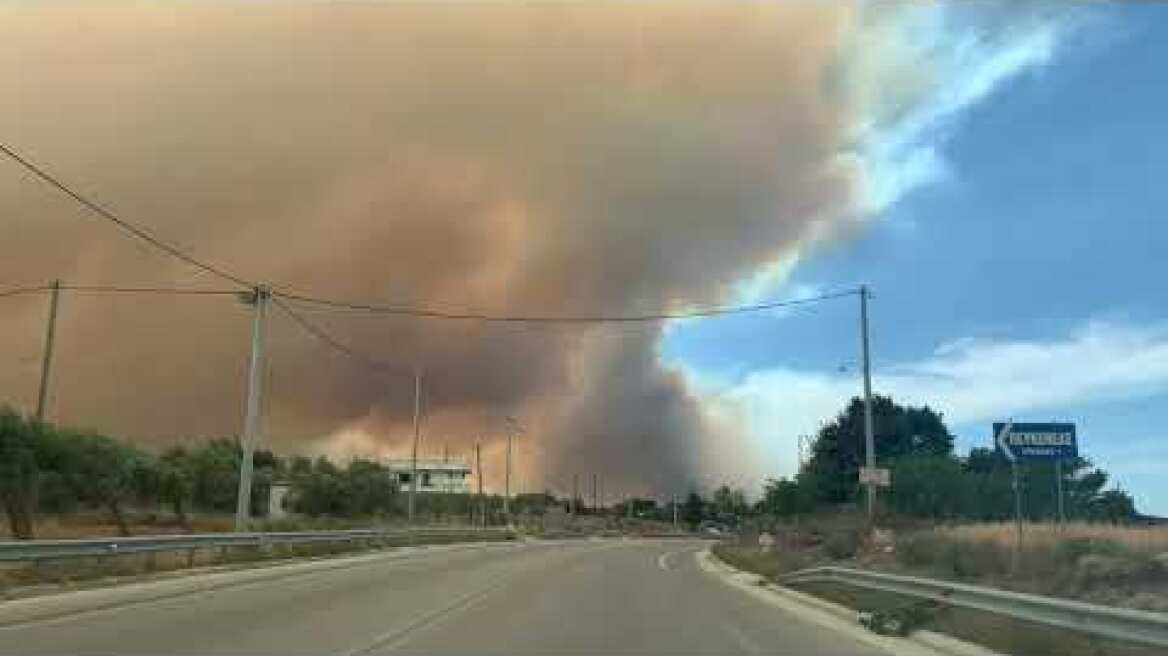 Φωτιά στο Σχίνο