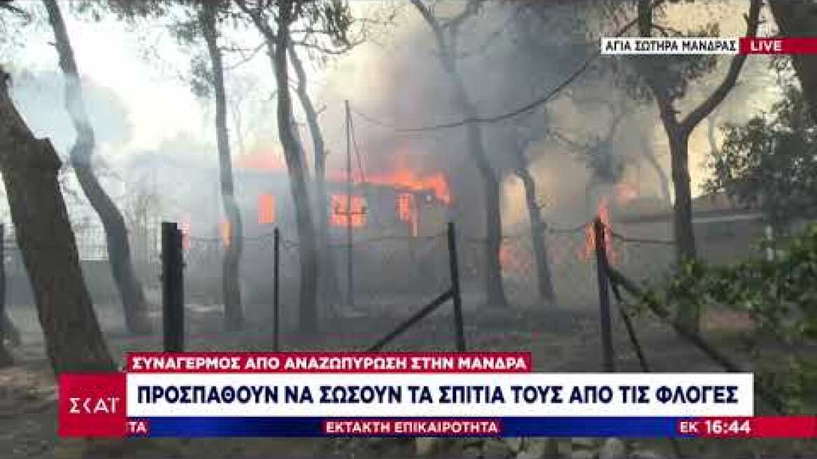 Μεγάλη αναζωπύρωση στη Μάνδρα (20/7)