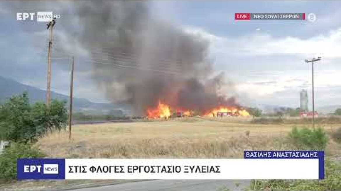 Δελτίο ΕΡΤ: Στις φλόγες εργοστάσιο ξυλείας