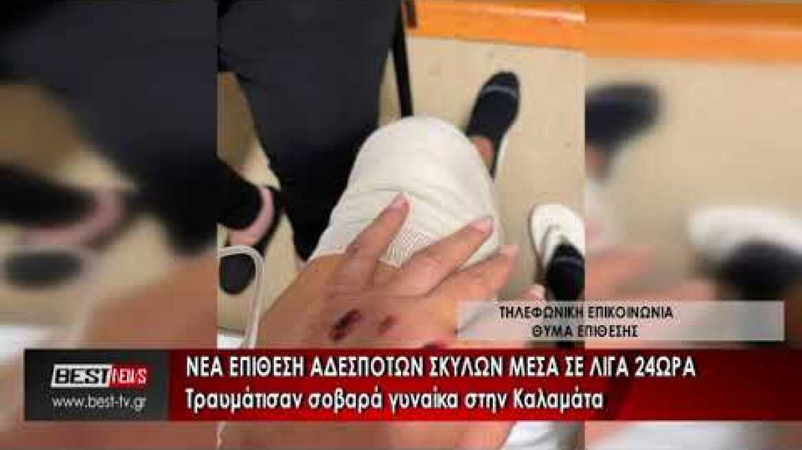 Nέα επίθεση αδέσποτων σκύλων σε λίγα μόλις 24ωρα στην Καλαμάτα – Τραυμάτισαν σοβαρά γυναίκα