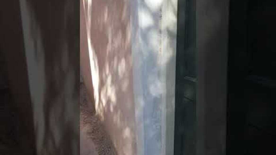 Backstage Άγριες Μέλισσες