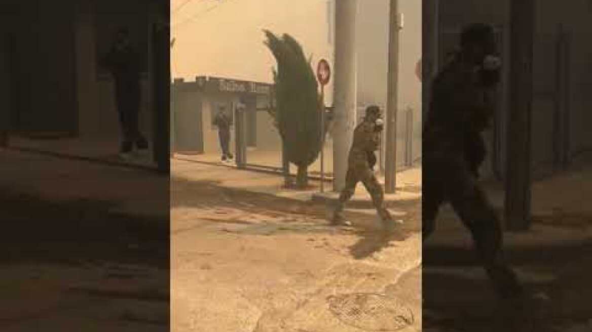 Φωτιά στα Βριλήσσια (5)