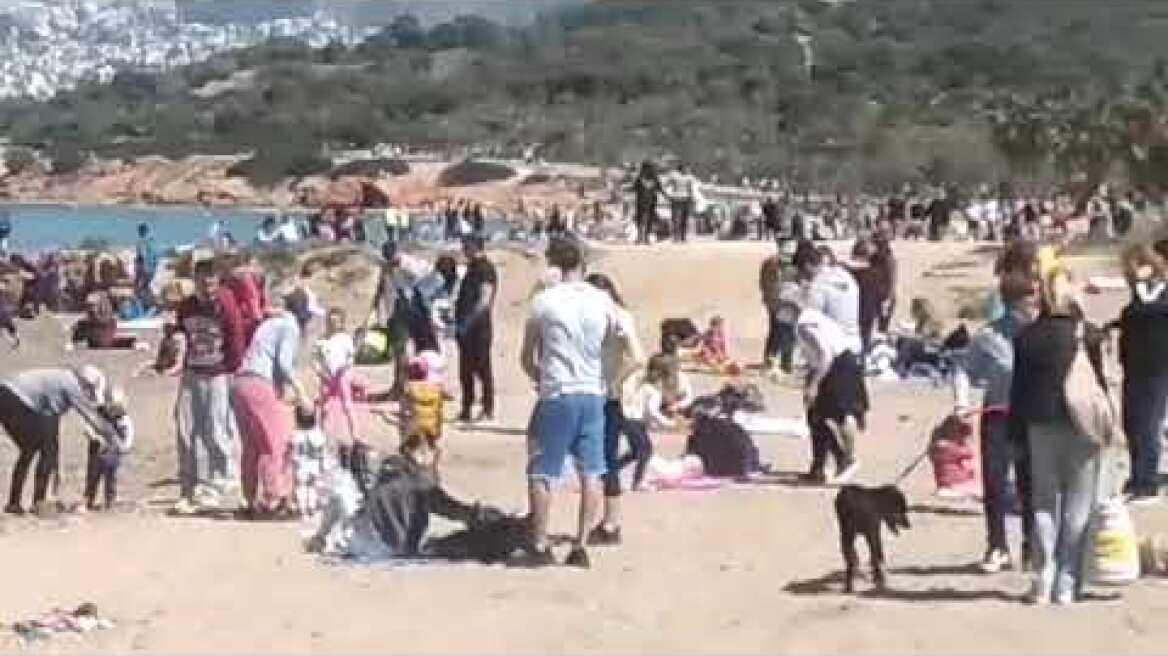 Βίντεο Καβούρι