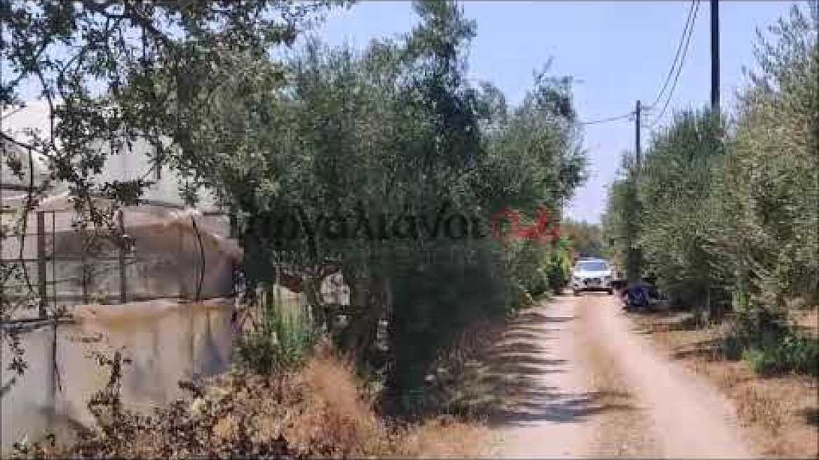 Νεκρή γυναίκα στη Γιόλακα Φιλιατρών με τραύμα από μαχαίρι