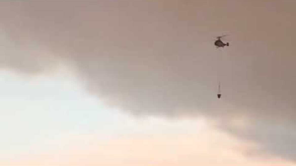 Φωτιά στο χωριό Άβαντας στην Αλεξανδρούπολη