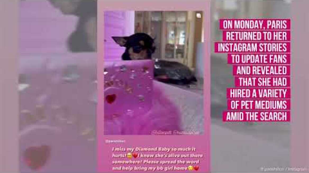 Πάρις Χίλτον σκύλος