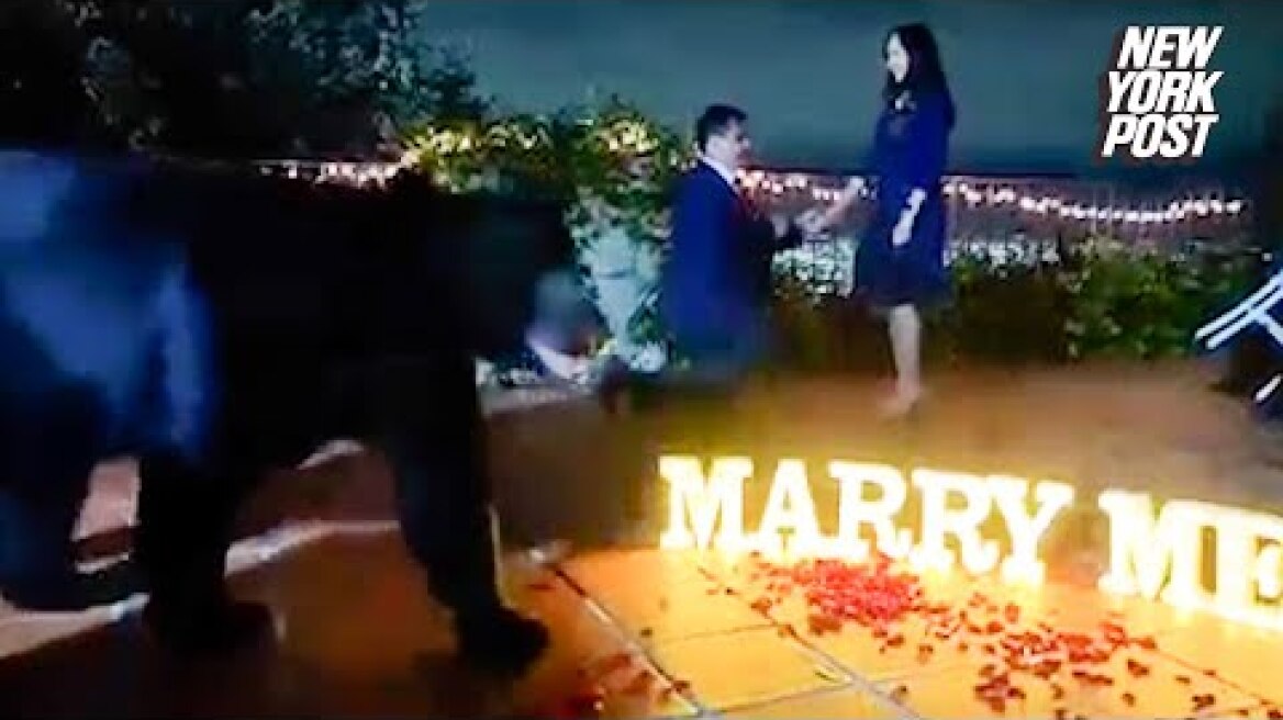 Giant bear interrupts wedding proposal in wild moment caught on video | New York Post