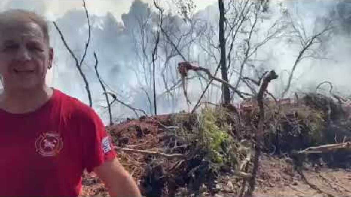 Φωτιά στο Σοφικό Κορινθίας: Δήλωση πυροσβέστη