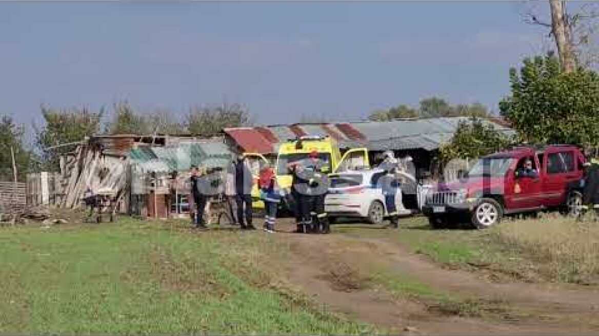 Δέντρο καταπλάκωσε και σκότωσε γυναίκα στη Λάρισα