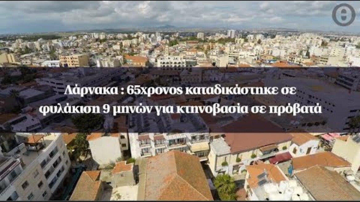 Λάρνακα : 65χρονος καταδικάστηκε σε φυλάκιση 9 μηνών για κτηνοβασία σε πρόβατά