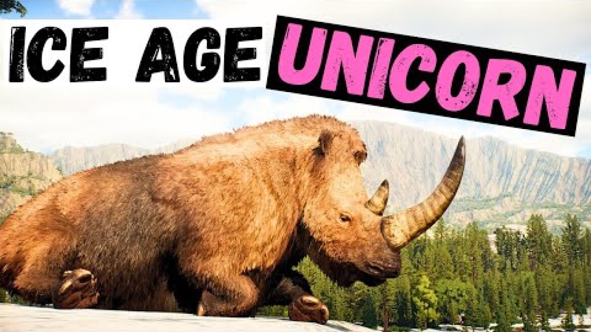 WOOLLY RHINOS of the ICE AGE | Prehistoric Kingdom