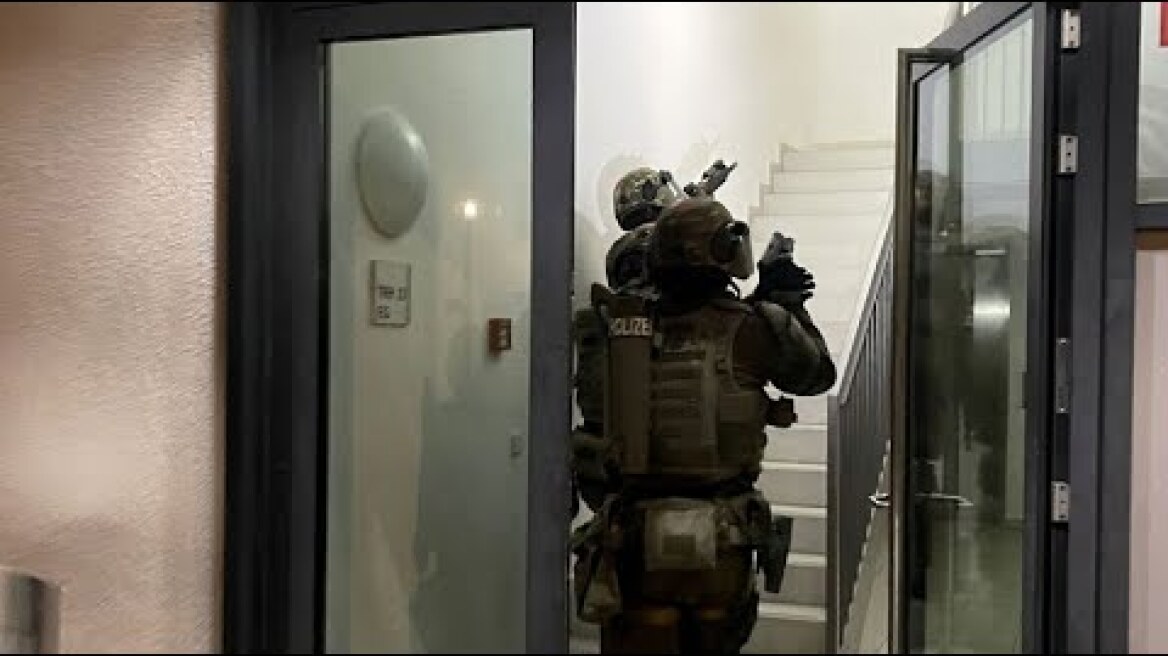 Großrazzia gegen Mafia-Organisation 'Ndrangheta