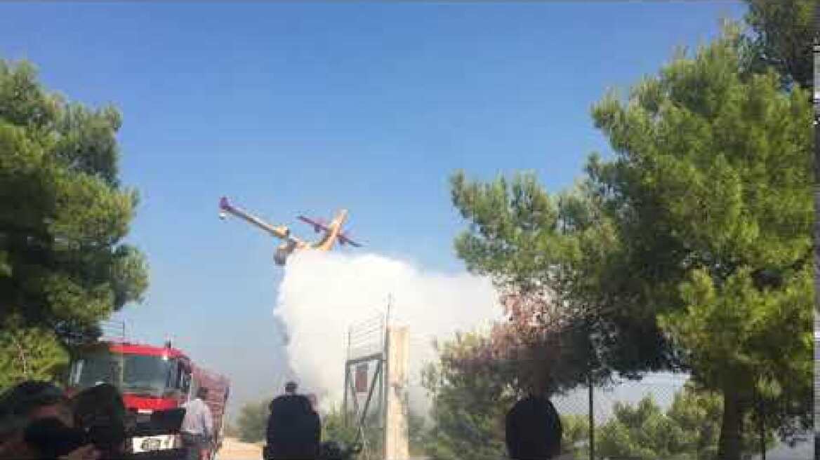 Καναντερ στην κατάσβεση