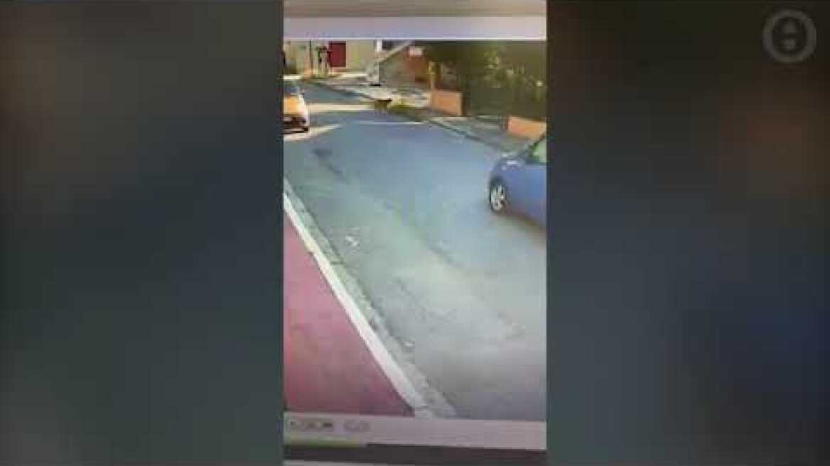 Θεσσαλονίκη:Πέρασε πάνω από το σκυλί και το εγκατέλειψε αιμόφυρτο- Τι λέει η ιδιοκτήτρια του Μπρούνο