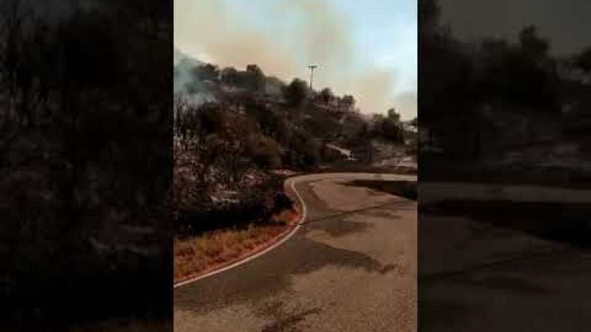 Φωτιά στην Μάνη