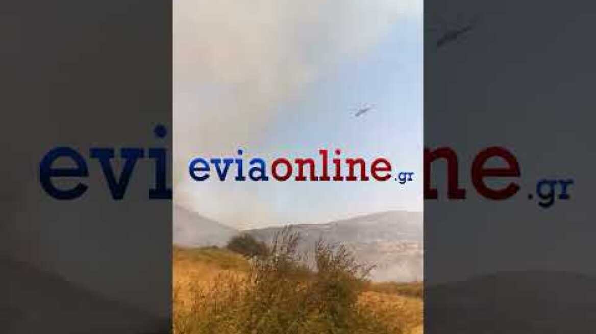 Εύβοια: Φωτιά στην Κάρυστο