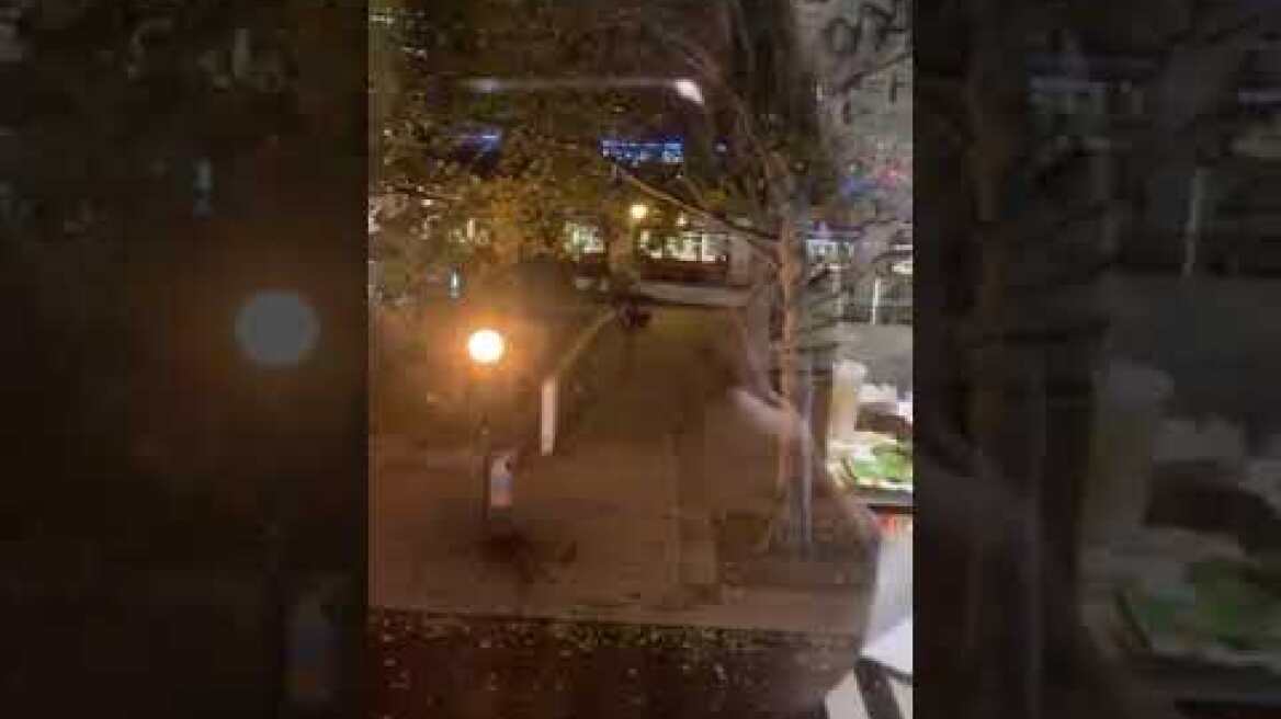 Βιέννη τρομοκρατική επίθεση (2)