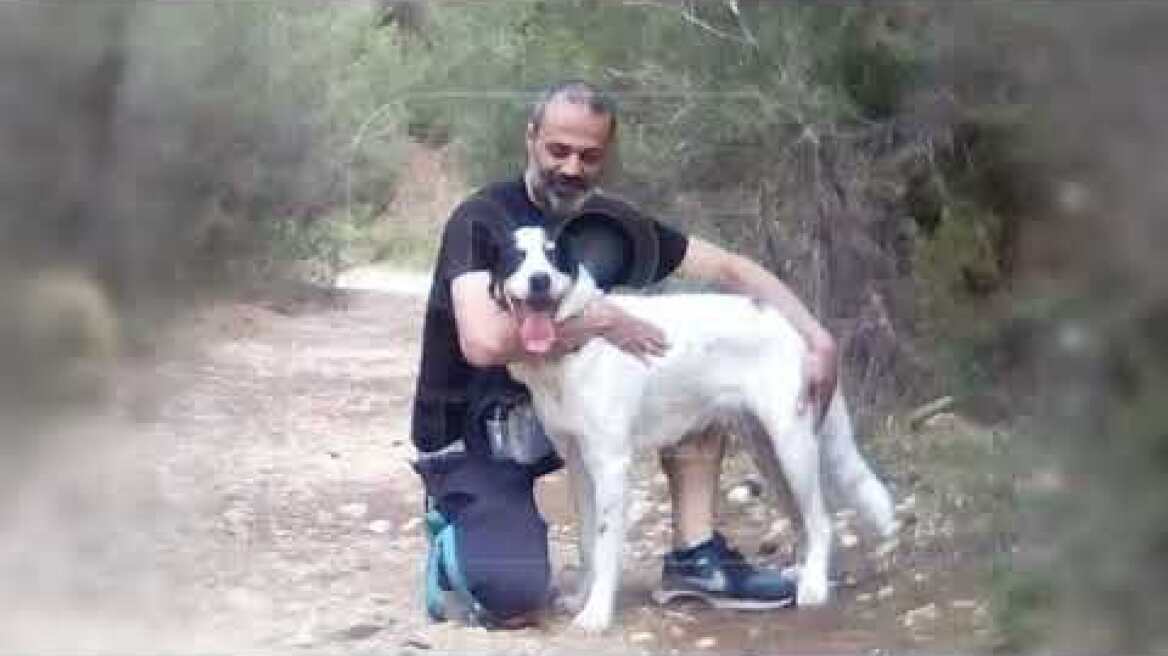 Επιτέλους φως στην υπόθεση Τσιαμπόκαλου