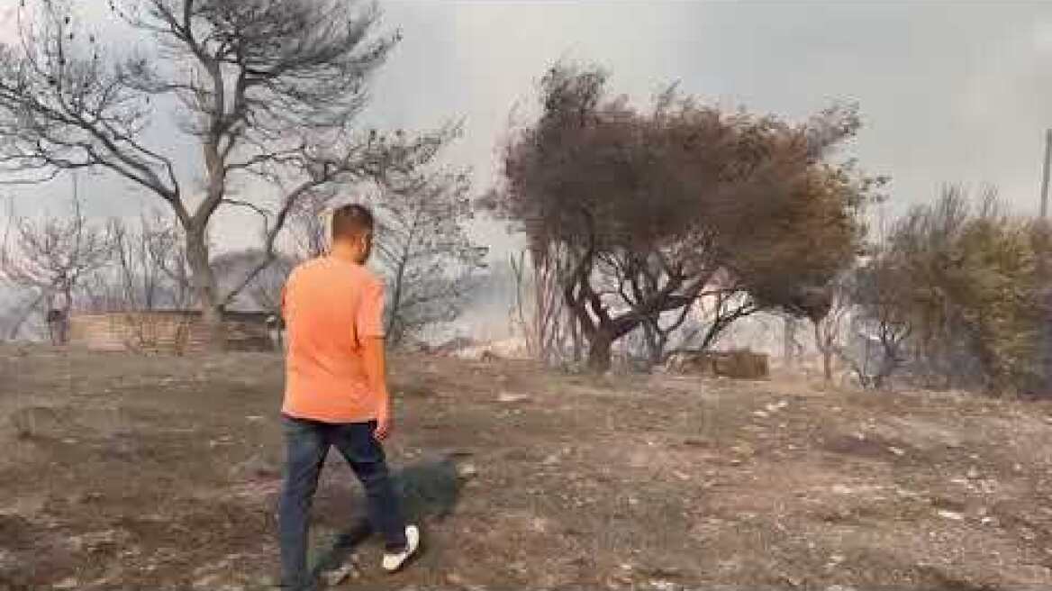 Μανδρα κάηκαν σπίτια (1)